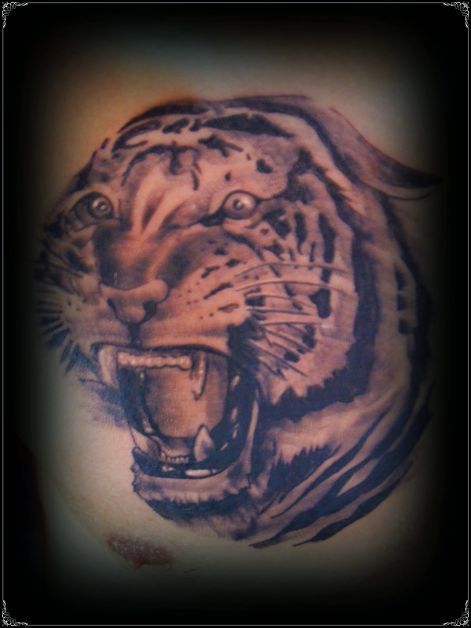 tigris.jpg